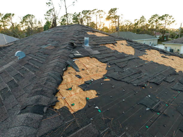 Professional Roofing in Hayden, AL